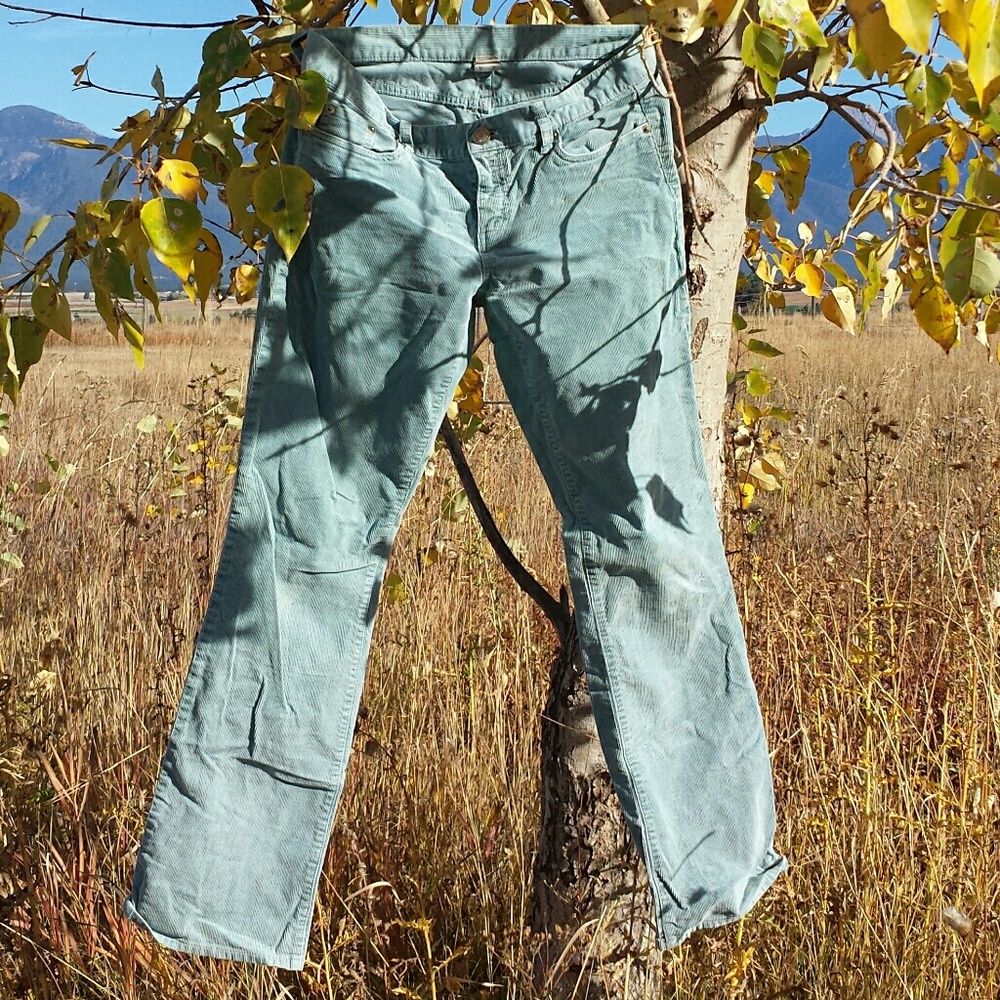 Robin's egg blue J Crew corduroy pants